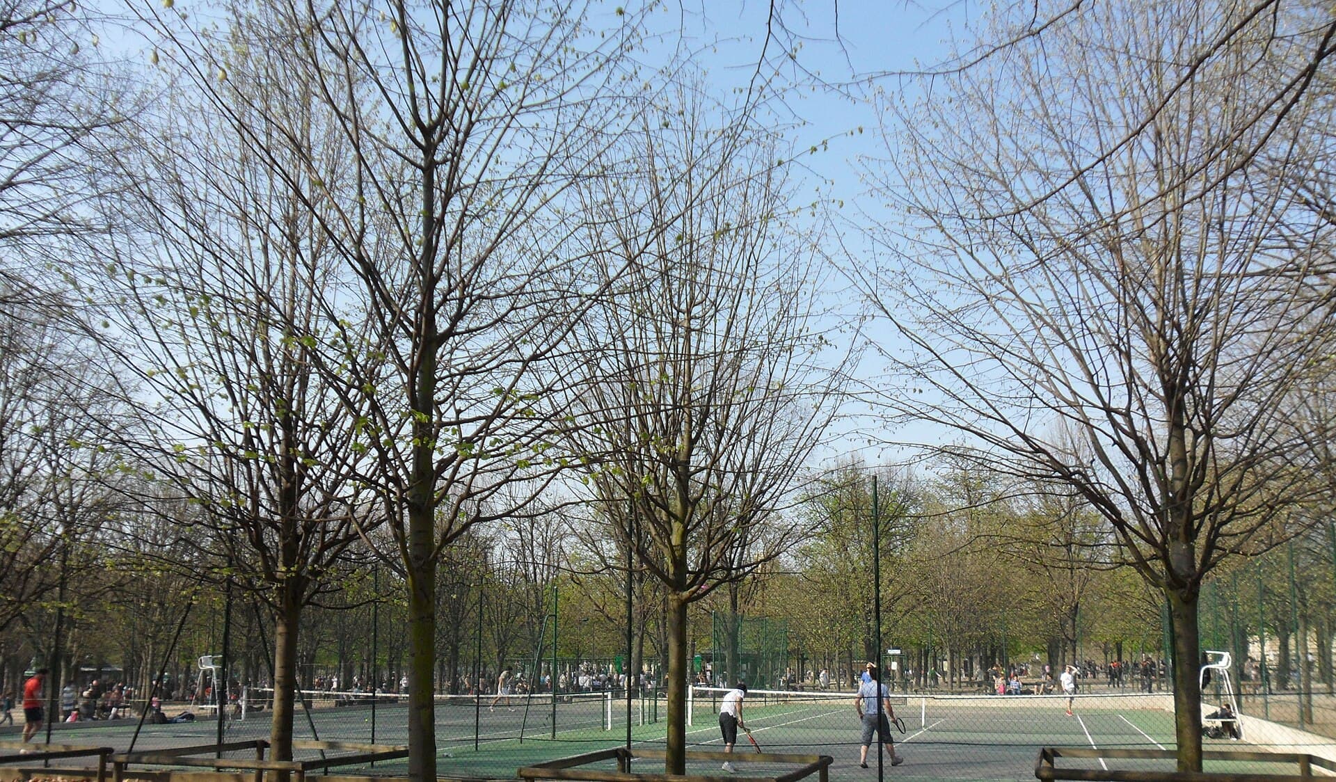 Public tennis courts in the Jardin du Luxembourg, Paris